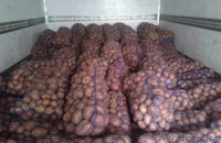 Продажа картошек из Белорусии - Изображение #2, Объявление #1221151