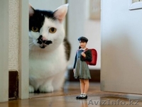 Что подарить девушкам коллегам на 8 марта - Изображение #2, Объявление #1212369