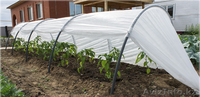 Удобные дачные парники - Изображение #3, Объявление #1218913