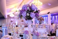 украшение залов для торжества - Изображение #3, Объявление #1218042