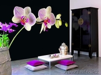 Фото обои на заказ. - Изображение #1, Объявление #1239118