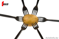 Предметная фотосъемка, съемка детских и семейных портфолио - Изображение #2, Объявление #1230838