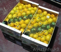 Фрукты и овощи из Испании  - Изображение #4, Объявление #192391
