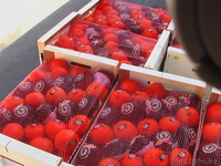 Фрукты и овощи из Испании  - Изображение #5, Объявление #192391