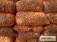 Грецкий орех высшего качества - Изображение #3, Объявление #1254036