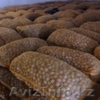 Грецкий орех высшего качества - Изображение #2, Объявление #1254036