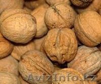 Грецкий орех высшего качества - Изображение #1, Объявление #1254036