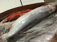 Рыба мороженая с доставкой - Изображение #4, Объявление #1250993