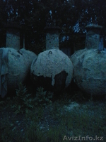 Емкость для сжиженного газа - Изображение #1, Объявление #1263134