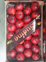 Oliver Fruits  S.L.  - Изображение #7, Объявление #1258705