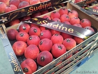 Oliver Fruits  S.L.  - Изображение #9, Объявление #1258705