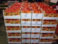 Oliver Fruits  S.L.  - Изображение #5, Объявление #1258705