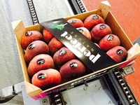 плоский персик(парагвайский) - Изображение #5, Объявление #1129252