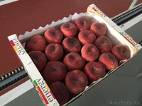 плоский персик(парагвайский) - Изображение #7, Объявление #1129252