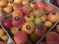 продаем абрикос - Изображение #1, Объявление #1270812