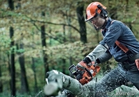 Спил и обрезка деревьев любй сложности в Алматы - Изображение #1, Объявление #1274068