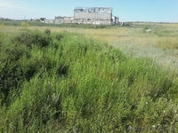  участок продам или поменяю - Изображение #7, Объявление #1268901