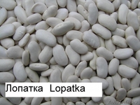 Продаём экологически чистую фасоль  из  Киргизии!!! - Изображение #2, Объявление #1274495