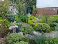 Услуги садовника. Обслуживание участка. - Изображение #8, Объявление #1287006