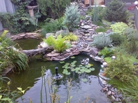 Услуги садовника. Обслуживание участка. - Изображение #1, Объявление #1287006