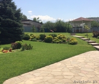 Рулонный газон. Укладка, стрижка и др. - Изображение #1, Объявление #1290810