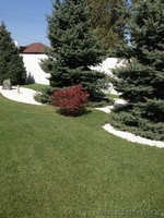 Услуги садовника. Обслуживание участка. - Изображение #2, Объявление #1287006