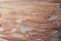 Декоративная штукатурка Marmo Antico - Изображение #1, Объявление #1289240