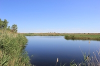 Транспортные услуги Делика, Delica. Алматы, Almaty - Изображение #3, Объявление #1305678