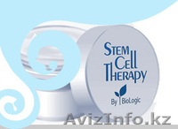 Стем Селл Терапи Biologic Solutions - Изображение #2, Объявление #1301998