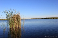  Делика (Delica)  поездки на рыбалку и отдых - Изображение #3, Объявление #1313270