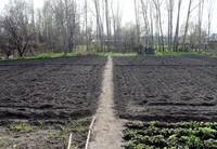 Продам дом в с. Узынагаш - Изображение #3, Объявление #1312958