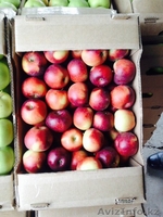 Продам яблоки оптом срочно! Алматы! Разные сорта Апорт Золотой превосходный - Изображение #4, Объявление #1319010
