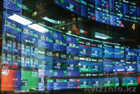 Обучение трейдингу, финансовой грамотности - Изображение #2, Объявление #1329157