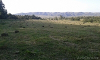 Продам 3 га в г. Талгар - Изображение #2, Объявление #1327229