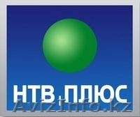 Оплатить, продлить «Телекарта», «Триколор», «Континент», «НТВ Плюс» - Изображение #1, Объявление #626104