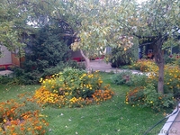 Продам  срочно дом . Торг уместен - Изображение #1, Объявление #1329103