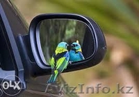 Автостекла и зеркала на любую марку автомобиля! - Изображение #1, Объявление #1336173