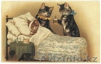 Ветеринарные услуги с выездом на дом, круглосуточно - Изображение #2, Объявление #1271781