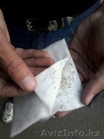 Биоматы для усиления склонов, защиты почвы от эрозии.  - Изображение #3, Объявление #1344330