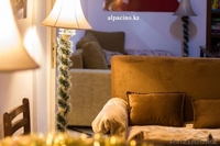 Как встречать 2016 год? в Свободном Пространстве Al Pacino! - Изображение #1, Объявление #1348872