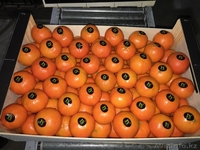 мандарины,апельсины,лимоны из Испании - Изображение #9, Объявление #1129256