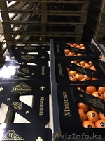 мандарины,апельсины,лимоны из Испании - Изображение #10, Объявление #1129256