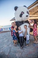 Ростовые мишки в Алматы - Изображение #1, Объявление #1348237