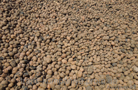 Керамзит фр 5-20  доставка Зил с/х до 6 кубов по Алматы и обл. - Изображение #1, Объявление #1350239