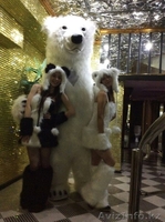 Продаются костюмы ростовых мишек - Изображение #3, Объявление #1354248