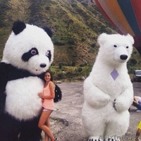 Ростовые мишки в Алматы - Изображение #2, Объявление #1348237