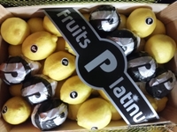 Поставка овощей и фруктов из Испании - Изображение #1, Объявление #1379076