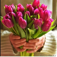 Оптовые и розничные продажи ТЮЛЬПАНОВ В Алматы, доставка по всему Казахстану.  - Изображение #1, Объявление #1368252