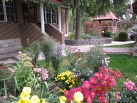 Озеленение. Ландшафтный дизайн. Алматы. - Изображение #2, Объявление #1348818