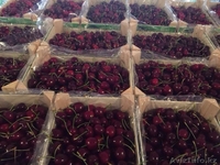 Продаем черешню из Испании - Изображение #4, Объявление #1444355